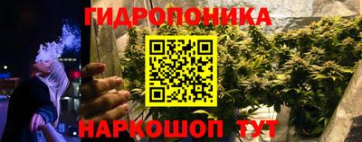 СК Будённовск