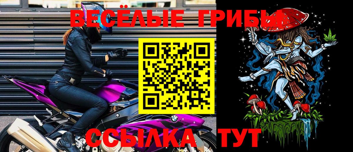 Галлюциногенные грибы Psilocybine cubensis Дятьково