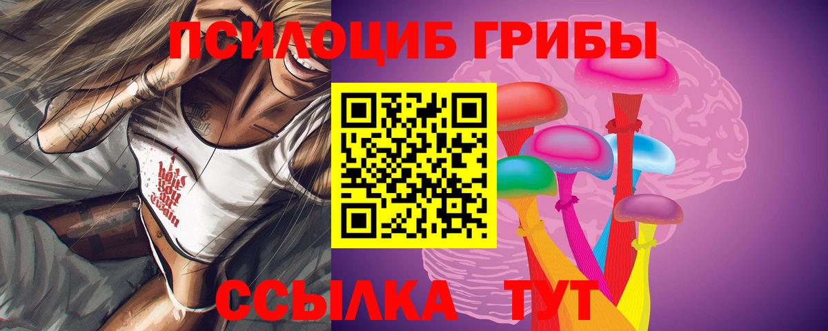Дятьково  Псилоцибиновые грибы GOLDEN TEACHER  Вход с VPN  Галлюциногенные грибы Magic Shrooms 