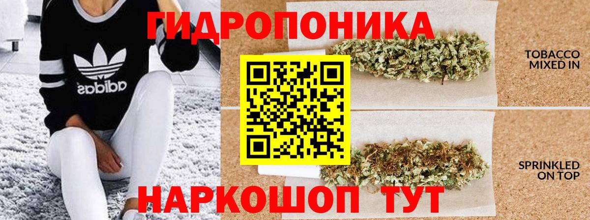 Марихуана планчик  Бошки Шишки тримм  Канабис Amnesia  Вход с VPN  Дятьково 